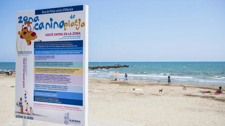 playa valencia perros lovdog