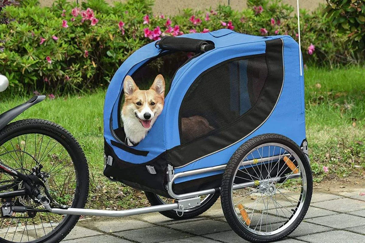 bicicleta perros lovdog