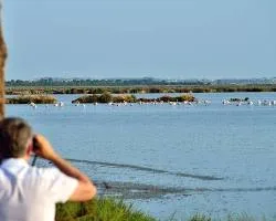Doñana Activa