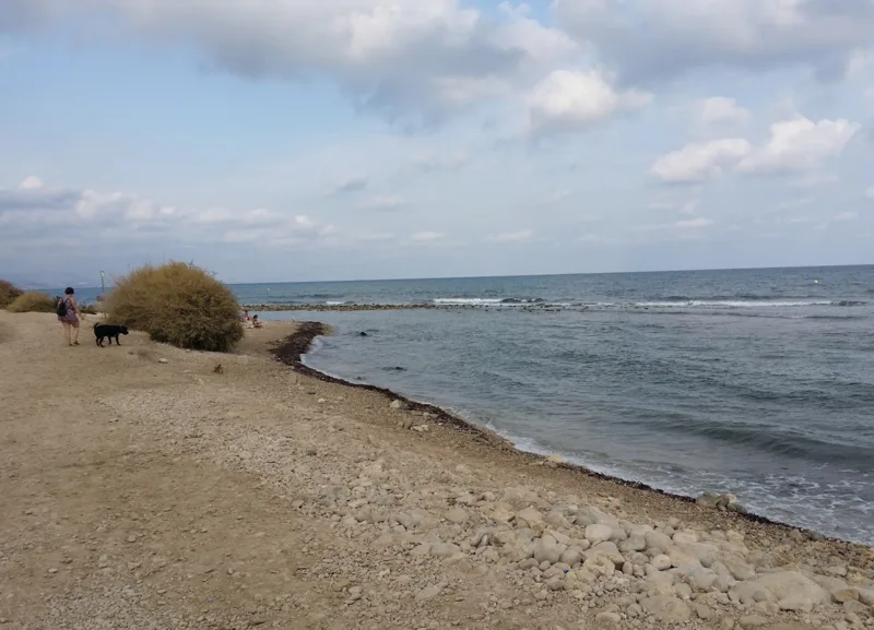 Playa Punta del Riu Sec (El Campello)