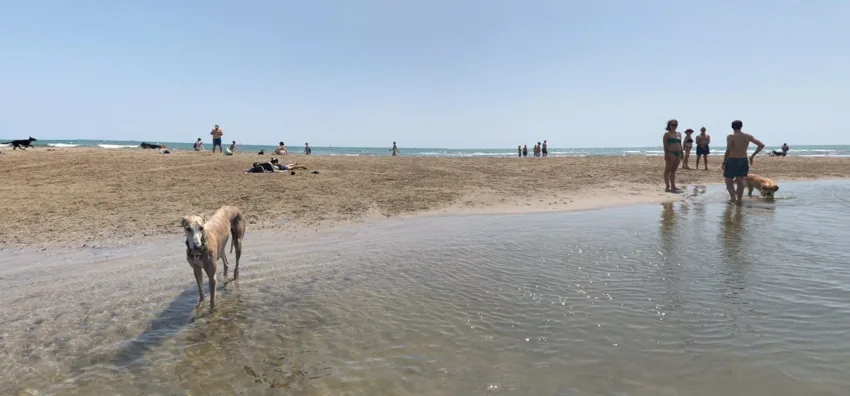 Playa de Alboraya (Playa de Els Peixets)