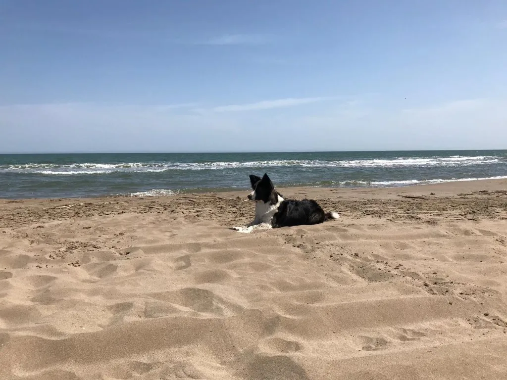 Playa La Balsa de la Arena (Delta del Ebro)