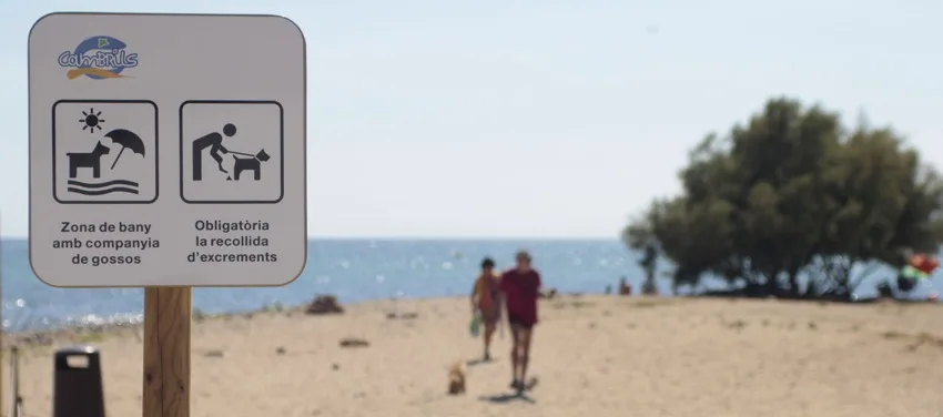 Playa de la Riera d'Alforja (Cambrils)