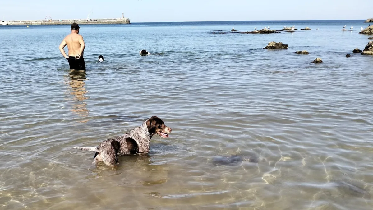 Playa de Gorliz