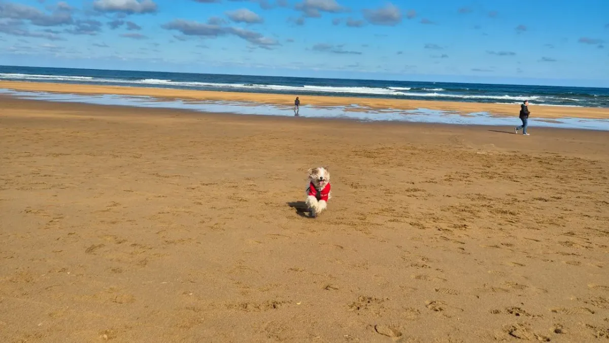 Playa de Zarautz