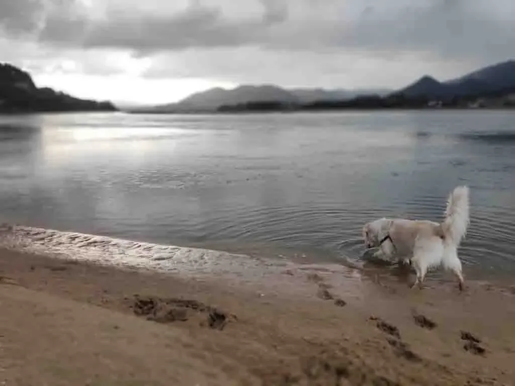 Playa de Laga