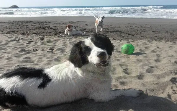 Playón de Bayas (El Sablón)