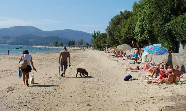 Praia de Cesantes