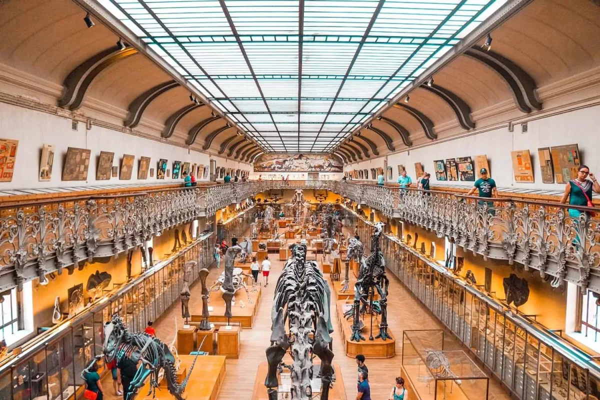 Museo Nacional de Ciencias Naturales