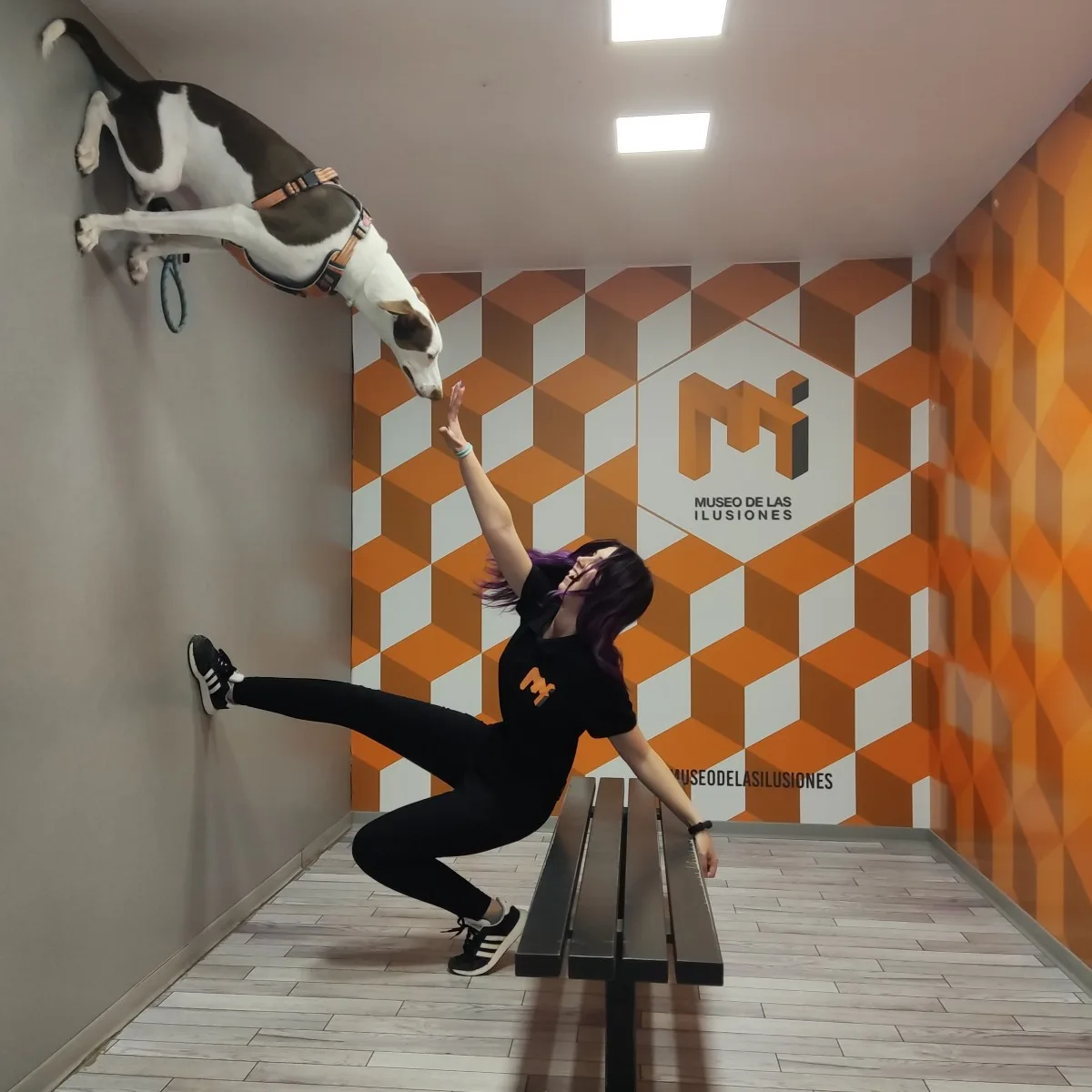 Museo de las Ilusiones de Sevilla