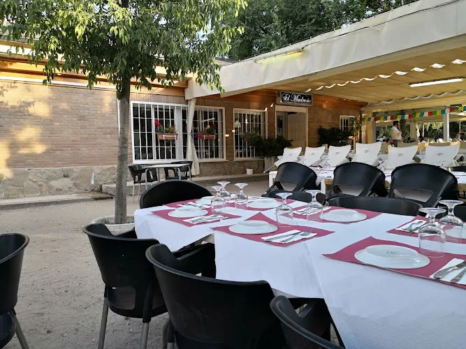 Bar Terraza El Madroño