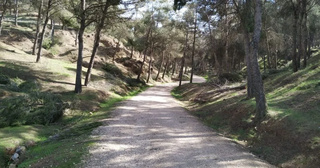 Parque Natural de los Cerros de Alcalá