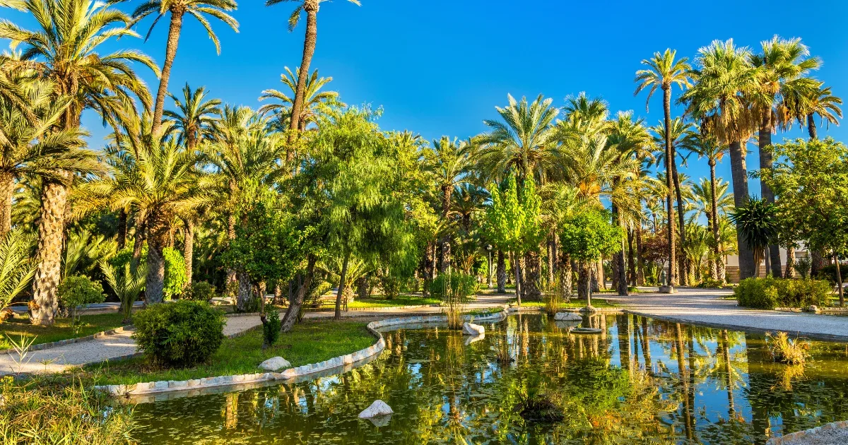 Parque El Palmeral