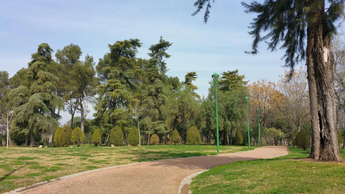 Parque Cruz Conde
