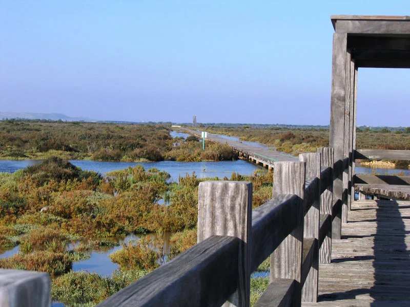 Parque Metropolitano de los Toruños