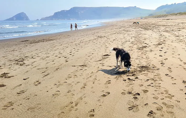 Playa de Bayas (Zona canina de El Sablón)